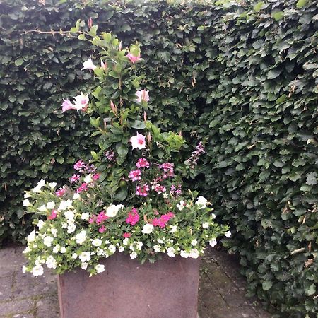 B&B De Veluwe Hoeve Eerbeek Zewnętrze zdjęcie